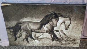 Large Mounted Art Print - Galloping Wild Horses