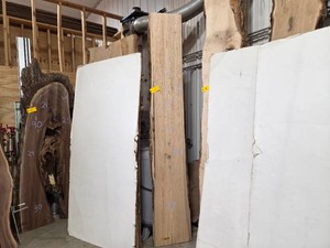 Elm Slab