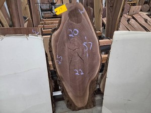 Black Walnut Slab