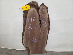 Black Walnut Slab