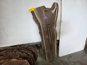 Black Walnut Slab