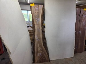 Black Walnut Slab