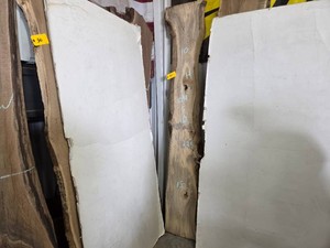 Hackberry Slab