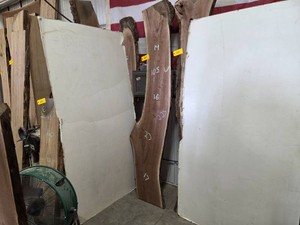 Black Walnut Slab