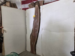 Black Walnut Slab