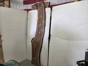 Black Walnut Slab