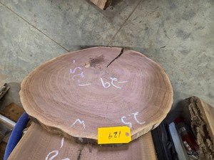 Black Walnut Slab