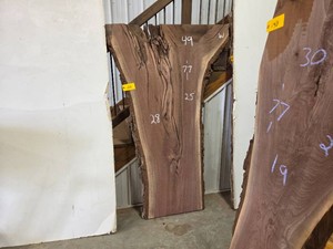 Black Walnut Slab