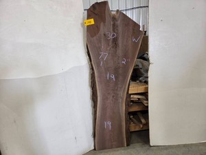 Black Walnut Slab