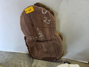 Black Walnut Slab