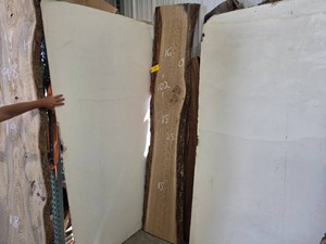 White Oak Slab