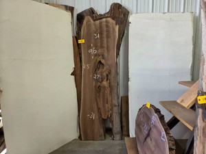 Black Walnut Slab