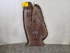 Black Walnut Slab