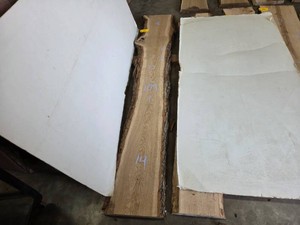 White Oak Slab