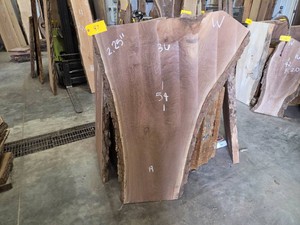 Black Walnut Slab