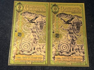 2 SOUTH DAKOTA GOLDBACKS 11000TH TROY OZ 24K GOLD EACH