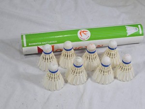Hoang Yen Badminton Shuttlecocks with Tube