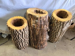 Lot of 3 Wood Duck Nesting Logs