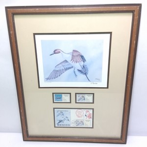 Framed Mexico 1994-1995 Duck Stamp & Waterfowl Print Display  DUMAC Sierra Madre