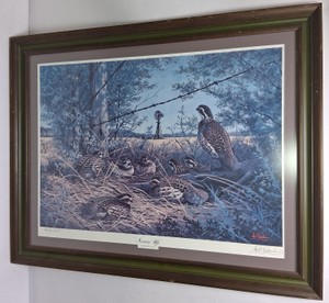 Noonin Up Bobwhite Quail Framed Wildlife Art  Artists Proof