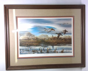 Spring Thaw Mallard Ducks & Flooded Corn Field Framed Wildlife Print 240960