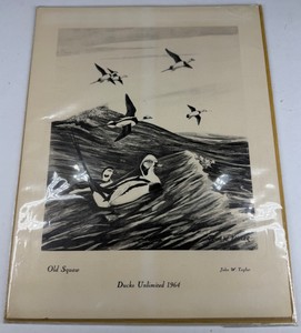 1964 Ducks Unlimited Old Squaw Waterfowl Art Print by John W. Taylor