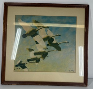 Roland Clark Framed Waterfowl Print  Geese in Flight