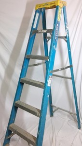 Werner Fiberglass Step Ladder