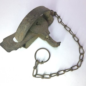 Vintage Large Steel Animal Leg-Hold Trap with Chain & Ring