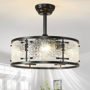Aijiasi 20 Caged Ceiling Fan with Light
