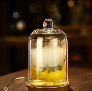 Drinking Glass with Cloche Cocktail Dome - Brand New