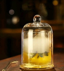 Drinking Glass with Cloche Cocktail Dome - Brand New
