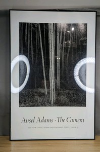 4 Piece Photo Lot Ansel Adams, Still Life Art, and Mandala Paintings  B