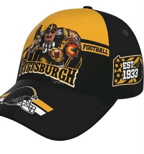 Pittsburgh Steelers American Football Graphic 2pk Hat - Brand New