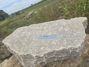 Pallet of Large Chilton Limestone OutcropSteppers