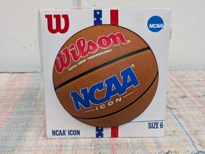 Wilson ICON 28.5 Basketball