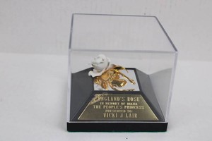 Englands Rose Princess Diana Commemorative Presentation Piece