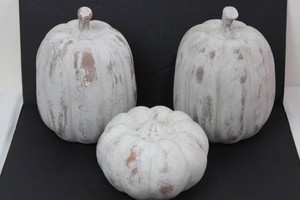 Distressed White Decorative Pumpkin Group (Lot of 3)