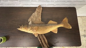 Walleye Mount