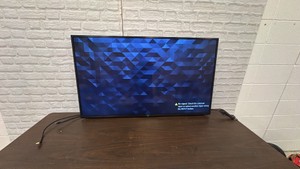 55 in Sony Google TV with Mount