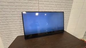 Vizio 60in TV with Mount