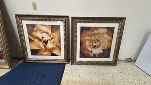 Pair of Large Flower Pictures
