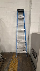 Werner 8ft ladder