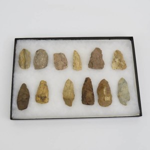 Grouping of Native American Points, Stone Tools, Rocks wRiker Box