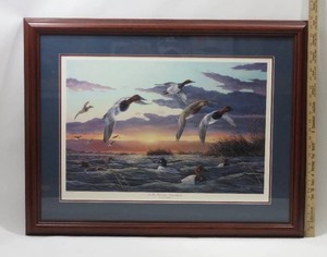 Ducks Unlimited 31524850 Terry Doughty Signed In the Fast Lane Canvasbacks Framed Art