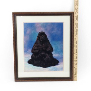 Framed Portrait Black Cocker Spaniel Seated Dog Cloud Patterned Studio Backdrop