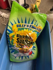 Billys Finest Black Oil Sunflower Wild Bird Feed 40 lb Bag