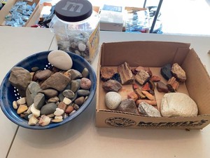 Mixed Rock & Mineral Collection Petrified Wood River Stones Display Lot