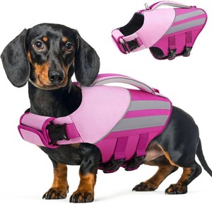 Queenmore Dog Life Jacket for Small Dogs, Dog Life Vest for Swimming