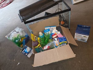 Fish Tank and Accessories